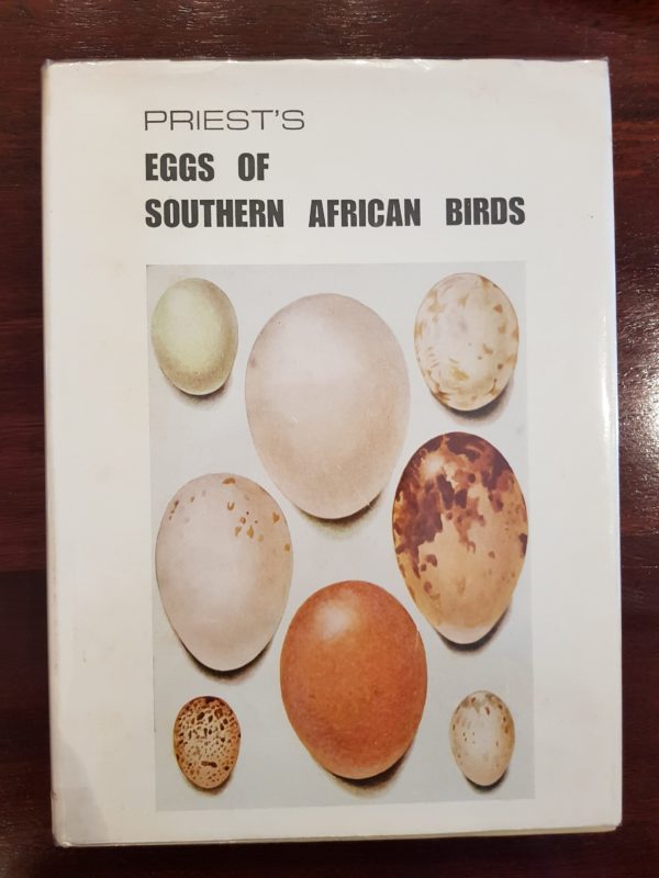 priest-eggs-southern-african-birds