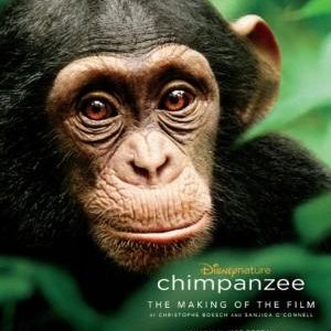 Chimpanzee_boesch_o'connell