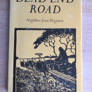 Dead_End_Road_Aegidius_Jean_Blignaut