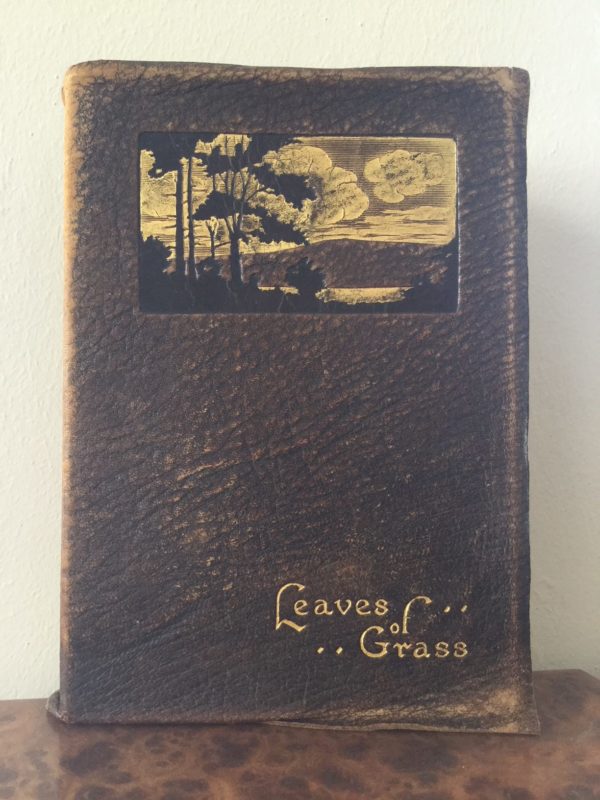 Leaves of Grass - Walt Whitman (Selected from the complete edition)